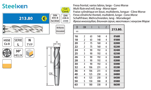 HSS Co8 - 4 flute slot drill - for Finishing - Long Lenght - Center cut - Morse Taper - Z4 - Uncoated - Helix 30° 